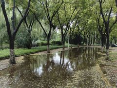 -袁记串串香(新南门店)