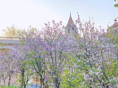 -松山湖风景区松湖烟雨