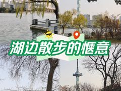 -聚龙湖公园