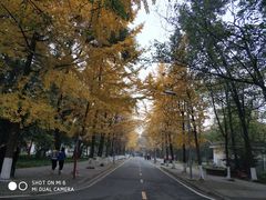 -四川大学(望江校区)