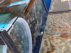 -渔民船说·北塘海鲜·天津菜·海肠捞饭(北塘古镇店)