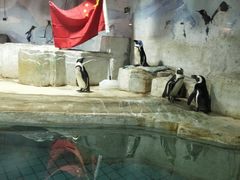 -洛阳龙门海洋馆