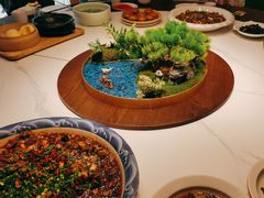 -新概念来凤鱼(璧山店)