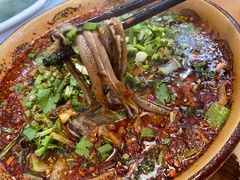 -乐山第一家临江鳝丝(茶坊路店)