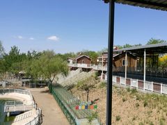 -北京鹿世界主题园