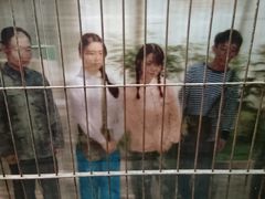 -北京动物园-畅观楼