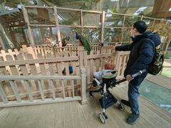 -南宫五洲植物乐园