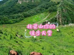 -灵山