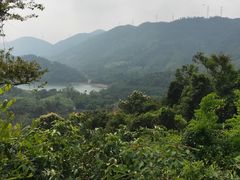 -田心森林公园