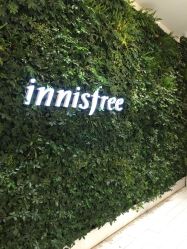 点击看大图 -悦诗风吟innisfree