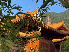 -深圳仙湖植物园