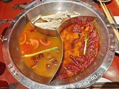 -大龙燚·旷野鲜火锅(广州首店)