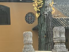 -西园戒幢律寺