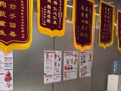 -中农国际动物医院24小时·猫科·骨科·急重症中心