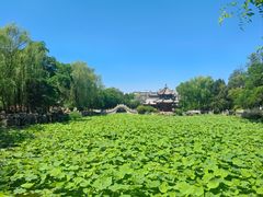 -莲池书院博物馆