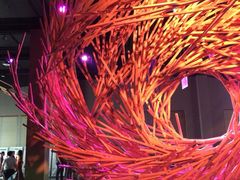 iphone_upload_pic-溱湖国家湿地公园