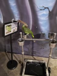 -酷嗒动物文化乐园(cutezoo西溪乐天城店)