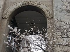 -武汉大学-樱园