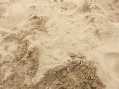 -日照海滨国家森林公园