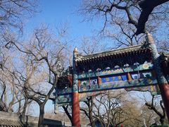 -北京国子监胡同