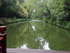 -同里国家湿地公园