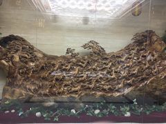 -火炉火自助餐(枫蓝国际店)