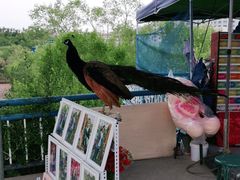 -水上乐园·欢乐世界