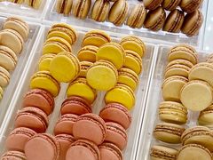 -Pierre Marcolini(德基广场店)
