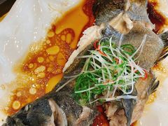 -佳兰雅序融合菜(高新店)