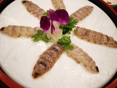 虾姑刺身-草鱼先生潮州鱼生·虾生(新厦花园店)