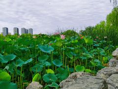 -太阳宫公园