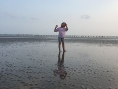 -南汇嘴观海公园