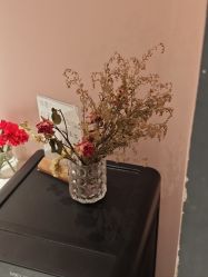 -德加芭蕾·舞蹈培训