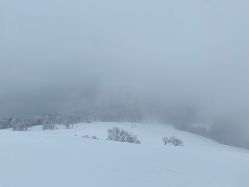 -大秃顶子山