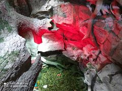 -多彩贵州城极地海洋世界