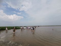 -启东黄金海滩景区