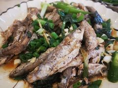 -开心农家菜