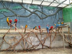 -泉州海丝野生动物世界