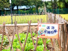 -海珠儿童公园