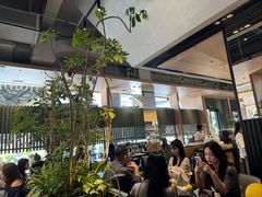 -gaga(深圳福田星河COCO Park店)