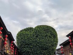 -福道