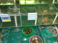 水产区-琼大师东方烤乳猪(亚特兰蒂斯店)