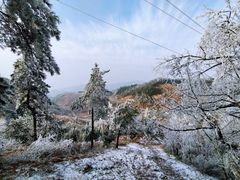 -四明山国家森林公园