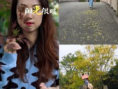 -梁鸿国家湿地公园