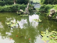 -浮庄