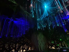 -上海JOYPOLIS环游嘉年华主题乐园