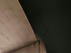 -广西体育中心-游泳馆