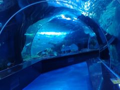 -多彩贵州城极地海洋世界