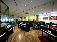 -柏斯琴行(汾阳店)