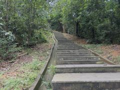 -天鹿湖森林公园